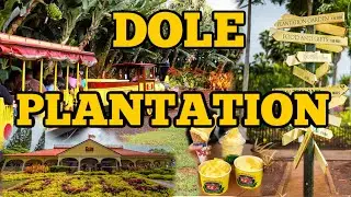 ★ Dole Plantation Hawaii, Wahiawa, Oahu Pineapple Express Train★