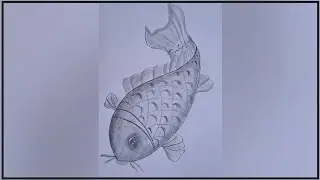 How to Draw Fish Easy | Fish Drawing | Fish Pencil Sketch | Easy Drawings