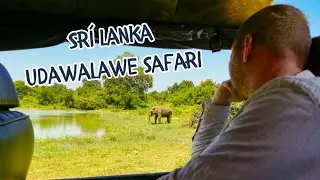 Safari v NP Udawalawe 🐘 | 5. vlog z roční cesty po Asii