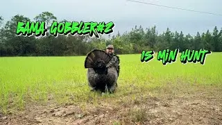 LONG MORNINGS TURNS INTO 15 MIN HUNT!! | BAMA GOBBLER#2