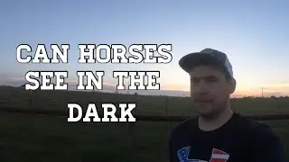 Can Horses See in the Dark?