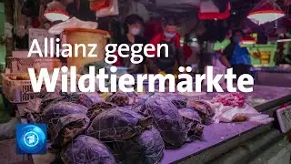 Allianz gegen den Handel auf Wildtierm&auml;rkten