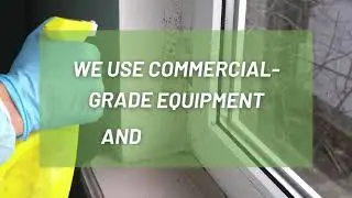 AIMGREEN RESTORATION | Columbus Ohio Mold Damage Restoration Services