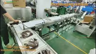 Full automatic Vacuum chicken bag secondary bagging machine with feeding system | CE&ul