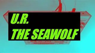 U.R. (UNDERGROUND RESISTANCE) 'THE SEAWOLF' TB-303 / TB-03 / TB-3 / TD-3 PATTERN