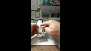 polpara semplice e accattivante