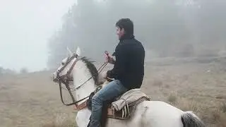 Unforgettable Gallop: My Thrilling Horseback Riding Adventure