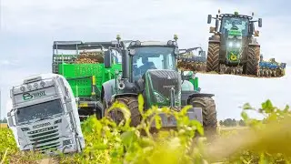 Vyorávání brambor,zapravení natí | Farma Čadovi | Fendt 826 Vario | John Deere 6R 250 | AVR | Lemken