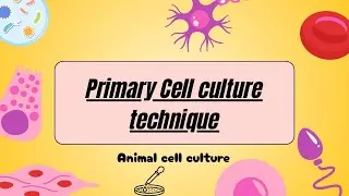 Primary Cell Technique ll Animal Biotechnology  ll GATE2026 ll CSIR NET