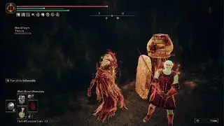 ELDEN RING 4 Player CoOp, 3rd Ally Summon