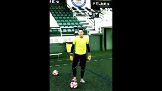 Alexandre Morais | Goalkeeper ⚽