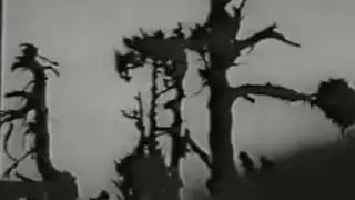 Таинственный Тибет 1943 (фильм старый но интересный)