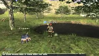 FFXI Geomancer Spells Part 2 (34-50)