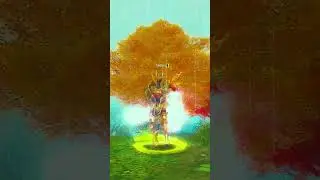 Collection King | Silkroad Online [CH]