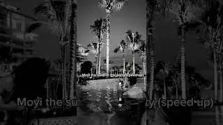 Moyi the sun - in the party (speed up)