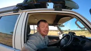 Ruaha National Park - a day of self drive safari in Tanzania