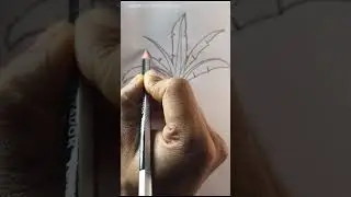 banana tree drawing from 1 #rongdhonuartanddrawing