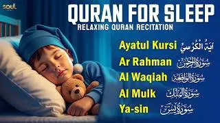 Calm Quran Recitation Before Falling Asleep, Ayatul Kursi Yasin Rahman Waqiah Mulk