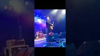 Sean Webster - Great Guitar Solo #SeanWebster #GuitarSolo #bluesinlehrte