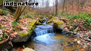 Nature Waterfall video| Nature No Copyright Song| Nature Waterfall WhatsApp Status Video#viralvideo 