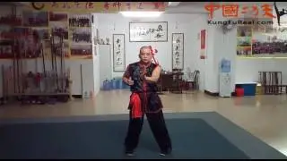 Learn yong chun  online---wing chun siu nim tao practice