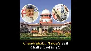 Skill Development Scam: AP Govt Moves SC Challenging Naidu&rsquo;s Bail