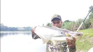 sembat patin lombong