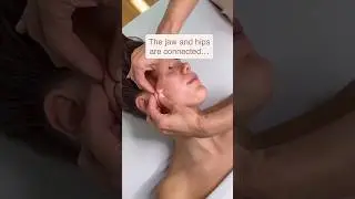 Jaw = Pelvic Health