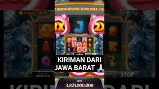 CAT COFFE 😎 #dj #remix #catcoffe#gamehiburan #shortvideo #shorrts