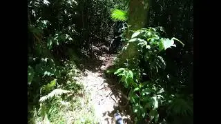 e-Flowrestinha raw