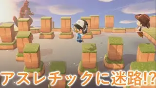【あつ森】アスレチックに迷路！？話題のクオリティが高すぎる島がすごすぎた【あつまれどうぶつの森】