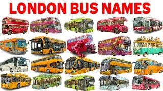 Лондонский автобус - школьный автобус, городской автобус, полицейский автобус, автобус скорой пом...