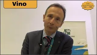 I vini svizzeri del Vallese di Besse e Crettenand