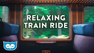 15 Minutes of Relaxing Train Journey Sounds for Deep Sleep + Stress Relief ... #train