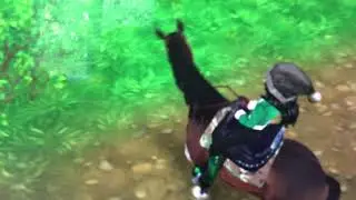 Buying a horse! R.I.P star coins