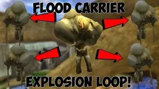 Carrier Form Explosion Loop Halo 1