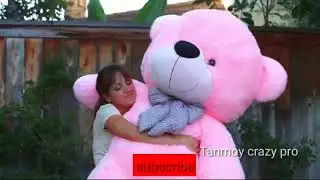 Cute teddy bear whatsapp status 💓new whatsapp status | special |teddy bear day|Valentine's day_2019