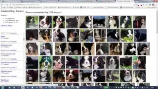 OpenPOWER Goes to the dogs demo