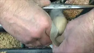 Making a paper seed pot maker. - full realtime video
