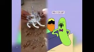 🤣👌👌👌2026 pov Must-Watch Crazy Clips Compilation #humor #fypシ #pov #fyp #foryou 😍😜