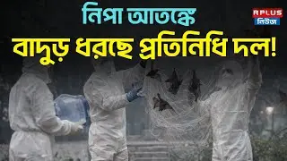Nipah Virus Alert:নিপা আতঙ্কে বাদুড় ধরছে প্রতিনিধি দল! | Kolkata | Bat Sampling |Public Health Alert