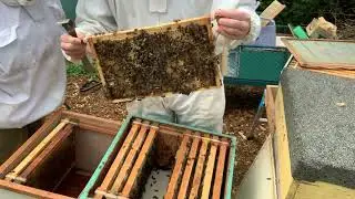 Thinking through problems with a spring hive - Hive10 PART1