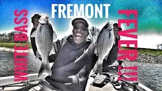 White Bass Fever !!
