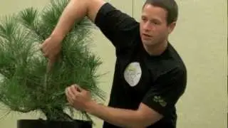 Ryan Neil Black Pine Demo and Lecture - BSF Convention