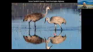 Malheur National Wildlife Refuge with Dan Streiffert