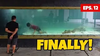 KOLAM IKAN MONSTER AKHIRNYA SELESAI !!!