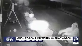 Family Says Vandals Threw Pumpkin Through Window, Smashed Decorations