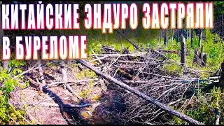 Спасение Китайских Эндуро мотоциклов из бурелома | Beta Xtrainer 300 2020