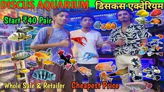 Starting From ₹40 l Discus Aquarium l Kurla Fish Market l Wholesaler & Retailer 🐟