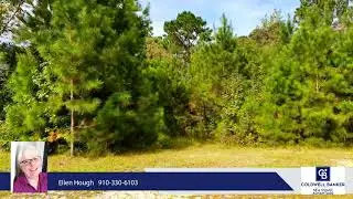 Homes for sale - 207 Farina Drive, Havelock, NC 28532